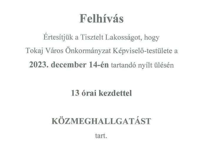 Közmeghallgatás